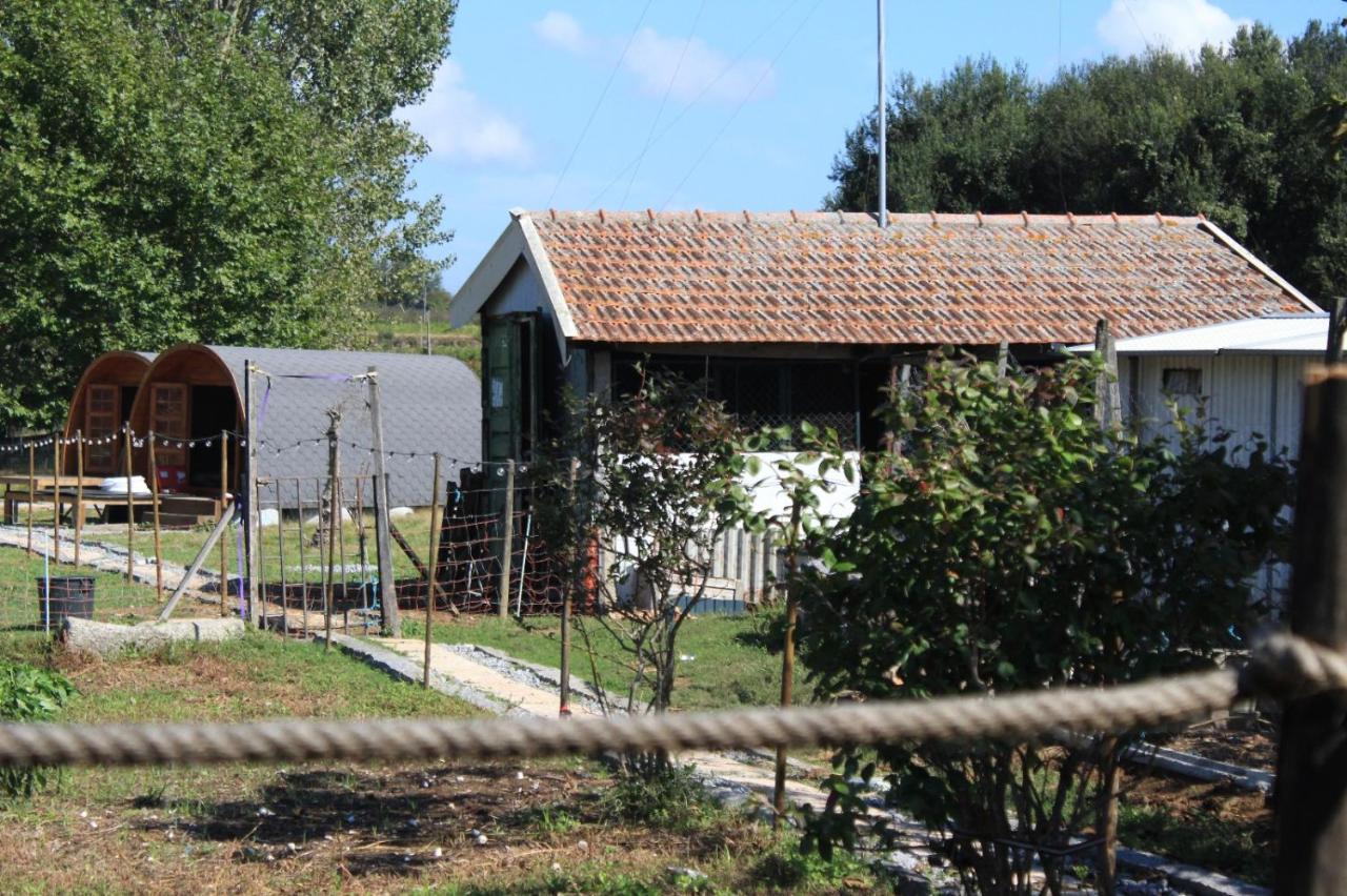 Casa Da Avo Miquinhas Hotell Pacos de Ferreira Exteriör bild