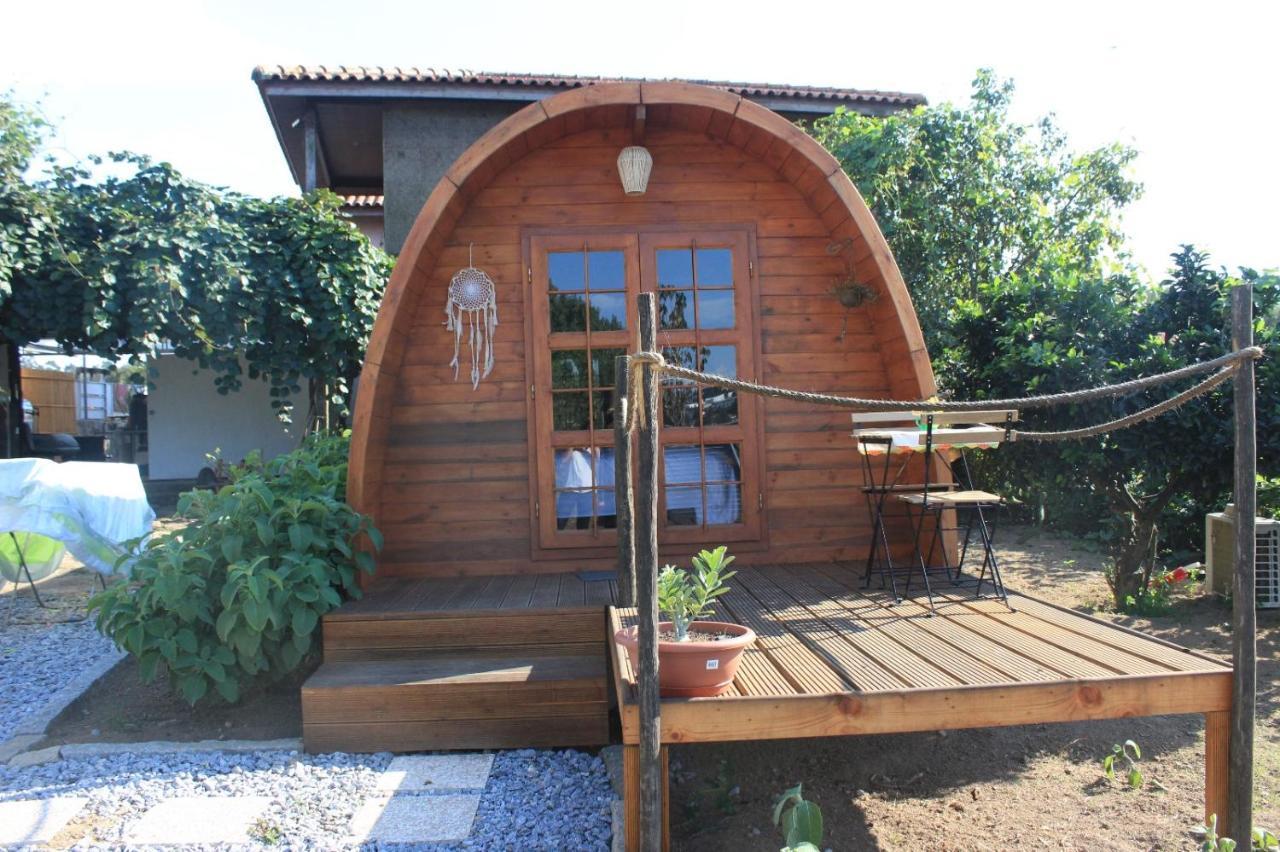 Casa Da Avo Miquinhas Hotell Pacos de Ferreira Exteriör bild